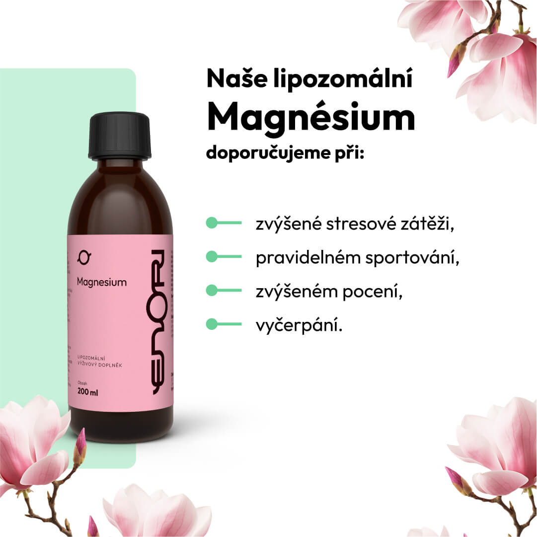 Magnésium